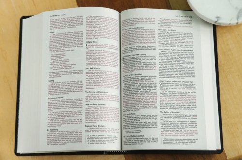 NIV Bible, Leather-Look, Red Letter Edition, Comfort Print