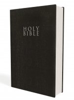NIV Bible, Leather-Look, Red Letter Edition, Comfort Print